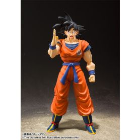 SHFiguartsSonGokuASaiyanRaisedOnEarthRerelease1